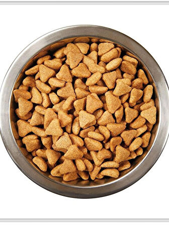 Katzoo Kuzu Etli Prinçli Yetişkin Köpek Maması 15 KG