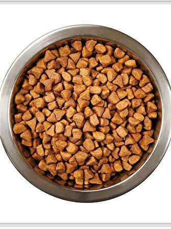 Kuzu Etli & Pirinçli Yavru Köpek Maması 3 KG (6 Adet)
