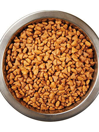 Tavuklu Yavru Kedi Mamasi 15 Kg