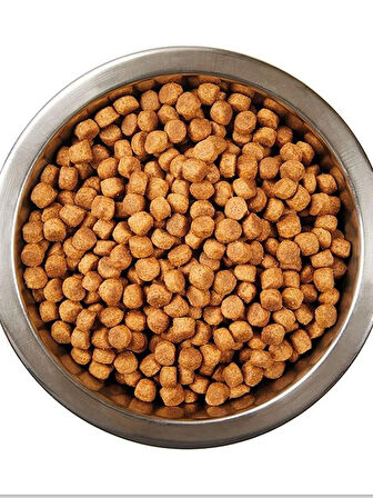Tavuklu Yetiskin Kedi Mamasi 15 Kg