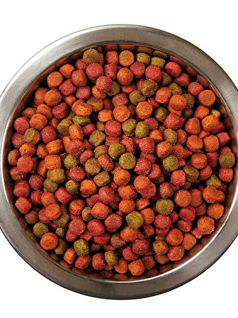 Tavuklu Gurme Yetişkin Kedi Maması 1,5 Kg (12 Adet)