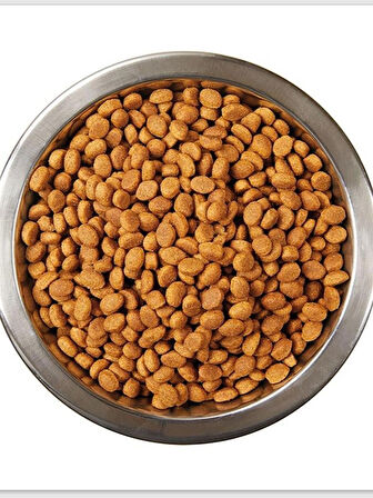 Katzoo  Somonlu Kedi Maması 15 kg 