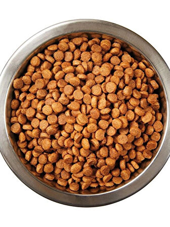 Kisirlastirilmis Somonlu Yetiskin Kedi Mamasi 1,5 KG