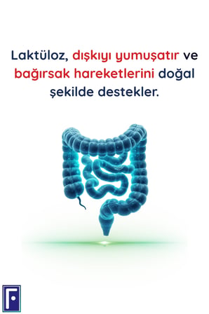 LifyLact Flor Probiyotik Kapsül , Prebiyotik , Laktuloz, 2'li Avantaj Paketi