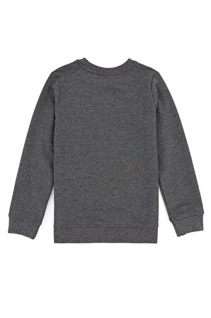 Gri Erkek Çocuk Sweatshirt