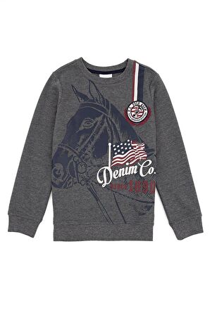 Gri Erkek Çocuk Sweatshirt