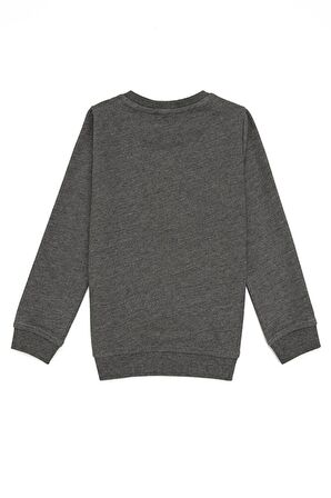 Gri Erkek Çocuk Sweatshirt