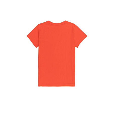 Erkek Çocuk Baskılı T-shirt 