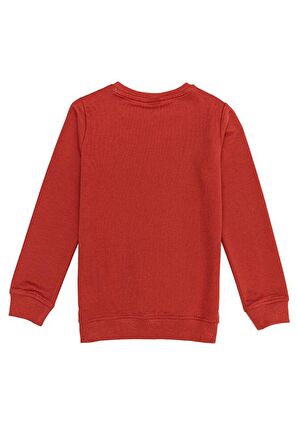 Turuncu Erkek Çocuk Sweatshirt