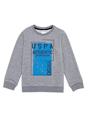 Gri Erkek Çocuk Sweatshirt
