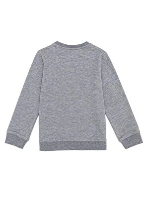 Gri Erkek Çocuk Sweatshirt