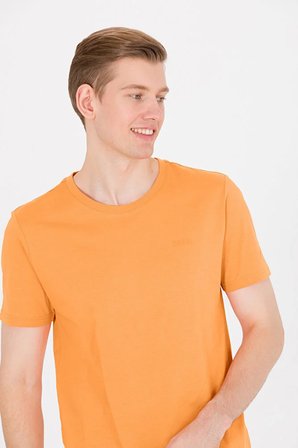 Erkek  Basic Bisiklet Yaka Tişört 50264918-VR051