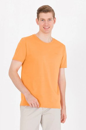 Erkek  Basic Bisiklet Yaka Tişört 50264918-VR051