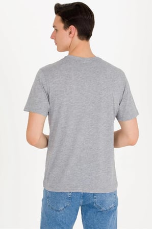 U.S. Polo Assn. Erkek Tişört 50263203-VR086