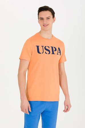 Erkek  Basic Bisiklet Yaka Tişört 50262976-VR051