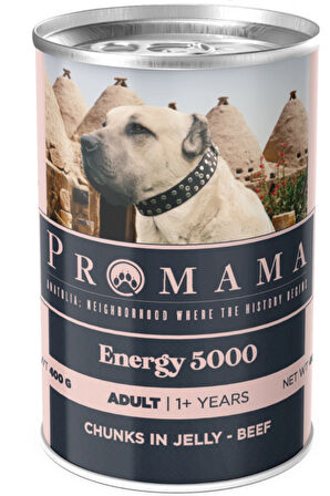 Promama Energy 5000 Yetişkin Biftekli Yaş Konserve Köpek Maması 400 GR 36'lı Koli