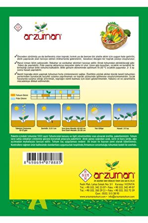 Paris Island Marul Tohumu 10 Gram