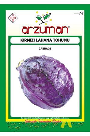 Kırmızı (Mor) Lahana Tohumu 10 Gram