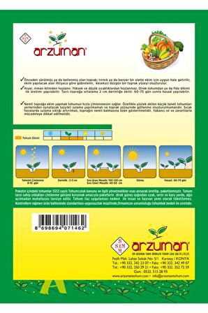 Bal Kabağı Tohumu 10 Gram