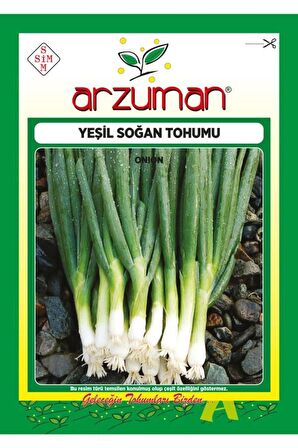 Yeşil Soğan Tohumu 10 Gram