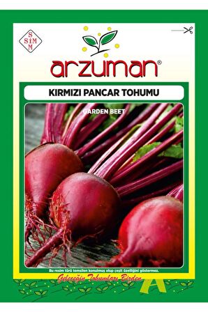Kırmızı Pancar Tohumu 10 Gram