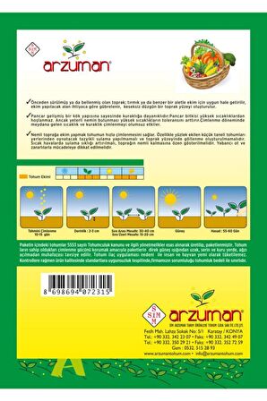 Kırmızı Pancar Tohumu 10 Gram