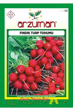 Fındık Turp Tohumu 25 Gram