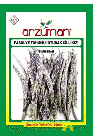 Çilli Kız Oturak Fasulye Tohumu 50 Gram