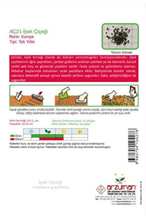 100 Adet İpek - Şellaki (Portulaca Grandiflora) Çiçek Tohumu 