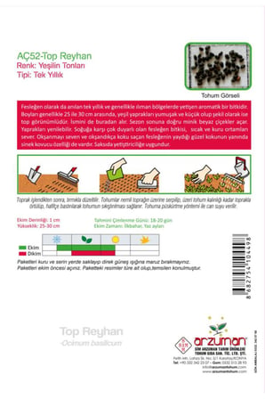 100 Adet Top Fesleğen - Top Reyhan (Ocimum Basilicum) Çiçek Tohumu 