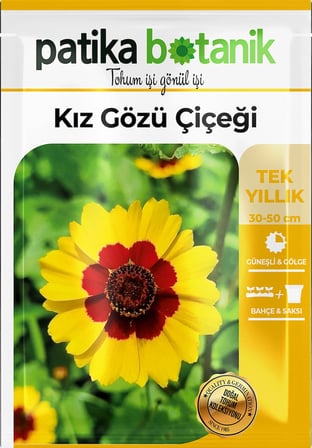 100 Adet Kız Gözü (Coreopsis Tinctoria) Çiçek Tohumu