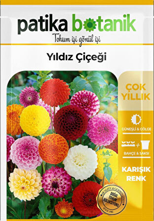 30 Adet Yıldız (dahlia) Çiçek Tohumu 