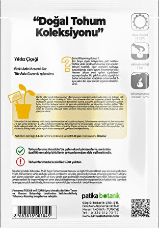 30 Adet Yıldız (dahlia) Çiçek Tohumu 