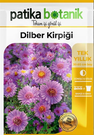 50 Adet Dilber Kirpiği Çiçek Tohumu (Aster L.)