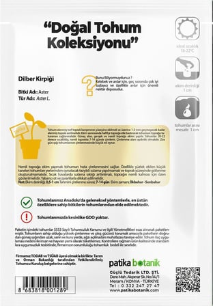 50 Adet Dilber Kirpiği Çiçek Tohumu (Aster L.)