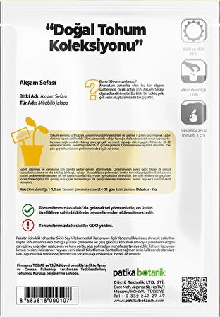 15 Adet Akşam Sefası Tohumu