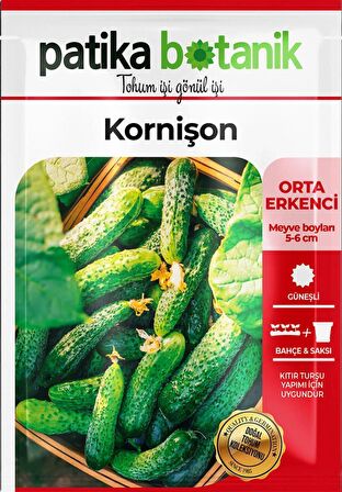  100 Adet Kornişon Salatalık Tohumu( Turşuluk)