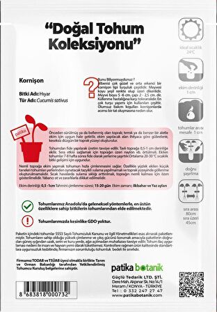  100 Adet Kornişon Salatalık Tohumu( Turşuluk)