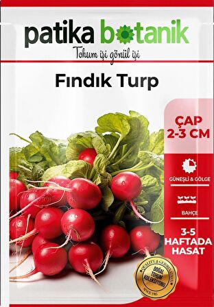  Fındık Turp Tohumu 