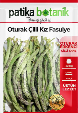 50 Adet Oturak Çilli Kız Taze Fasulye Tohumu