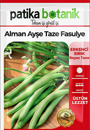 50 Adet Alman Ayşe Tipi Sırık Fasulye Tohumu 