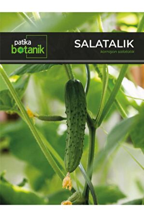 100 Adet Kornişon (Turşuluk) Salatalık Tohumu