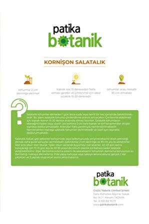 100 Adet Kornişon (Turşuluk) Salatalık Tohumu
