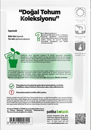 250 Adet Yerli Ispanak Tohumu (GENİŞ YAPRAK)