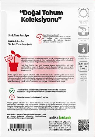 50 Adet Sırık Fasulye Tohumu ( Mine)