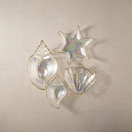 Fecra Deniz 4 Parça Cam Sunum Seti