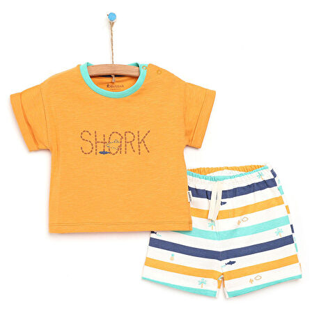 Bebbek Baby Shark Tshirt-Şort Takım Erkek Bebek