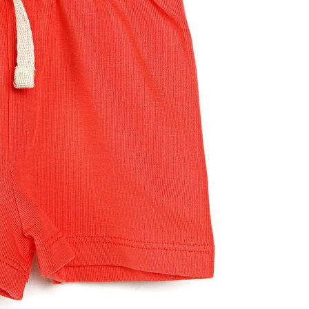 HelloBaby Basic Kız Bebek Şort Kız Bebek