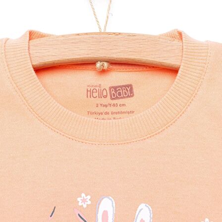 HelloBaby Basıc Eşofman Takımı Kız Bebek