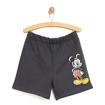 Disney 24Y Mickey Mouse Şort Erkek Bebek